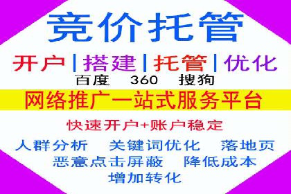 某某sem代运营公司成功案例：提高转化率